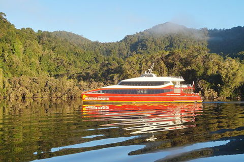 Afternoon Gordon River Dinner Cruise - Departing 3pm - Accommodation Brunswick Heads 1