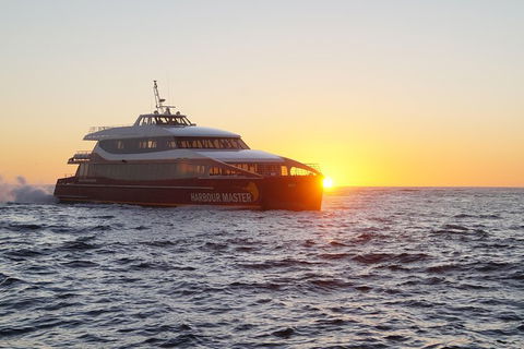Afternoon Gordon River Dinner Cruise - Departing 3pm - Accommodation Brunswick Heads 0