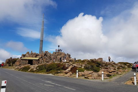 Mt. Wellington Morning Hike + Afternoon Beer & History Walk - Accommodation Brunswick Heads 21