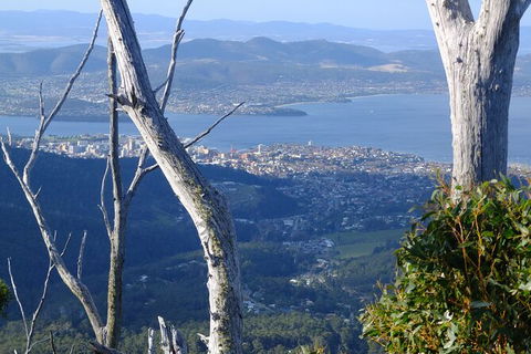 Mt. Wellington Morning Hike + Afternoon Beer & History Walk - Accommodation Brunswick Heads 10