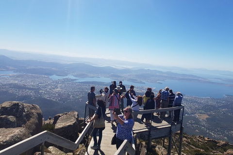Mt. Wellington Morning Hike + Afternoon Beer & History Walk - Accommodation Brunswick Heads 2