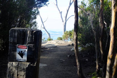 Mt. Wellington Morning Hike + Afternoon Beer & History Walk - Accommodation Brunswick Heads 14