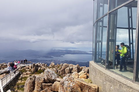Mt. Wellington Morning Hike + Afternoon Beer & History Walk - Accommodation Brunswick Heads 12