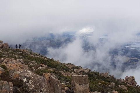 Mt. Wellington Morning Hike + Afternoon Beer & History Walk - Accommodation Brunswick Heads 18