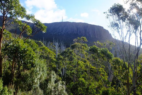 Mt. Wellington Morning Hike + Afternoon Beer & History Walk - Accommodation Brunswick Heads 4