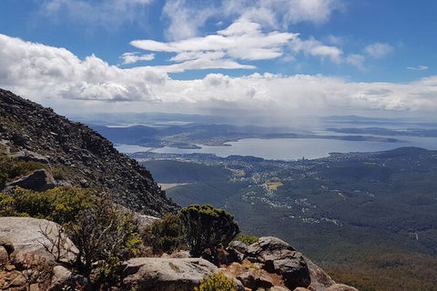 Mt. Wellington Morning Hike + Afternoon Beer & History Walk - Accommodation Brunswick Heads 5