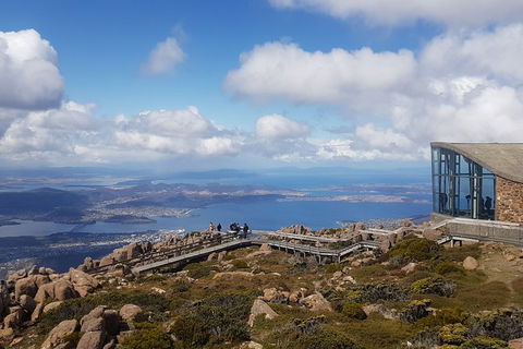 Mt. Wellington Morning Hike + Afternoon Beer & History Walk - Accommodation Brunswick Heads 3
