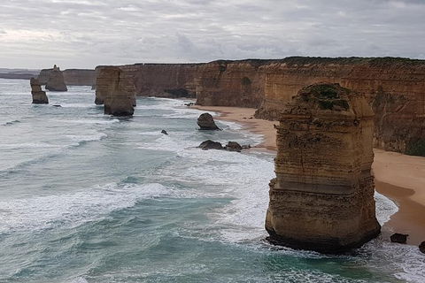 Great Ocean Road Coastline Tour From Warrnambool - Accommodation Brunswick Heads 4