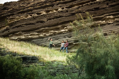 Great Ocean Road And Otway Discovery 2 Day Tour - Accommodation Brunswick Heads 7
