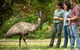Great Ocean Road And Otway Discovery 2 Day Tour - thumb 1
