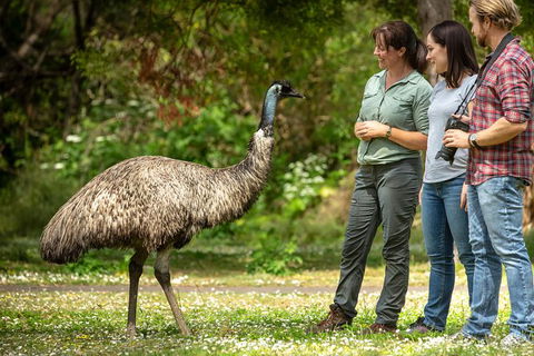 Great Ocean Road And Otway Discovery 2 Day Tour - Accommodation Brunswick Heads 1