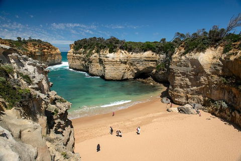 Great Ocean Road And Otway Discovery 2 Day Tour - Accommodation Brunswick Heads 9