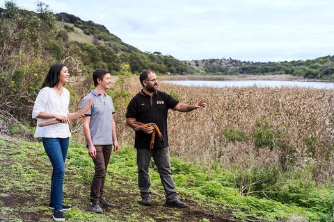 Great Ocean Road And Otway Discovery 2 Day Tour - Accommodation Brunswick Heads 0