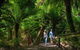 Great Ocean Road & Phillip Island - 3 Days, 2 Nights - thumb 1