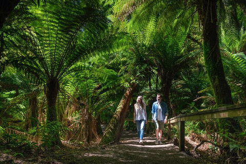 Great Ocean Road & Phillip Island - 3 Days, 2 Nights - Accommodation Brunswick Heads 1