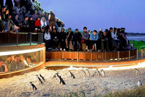 Great Ocean Road & Phillip Island - 3 Days, 2 Nights - Accommodation Brunswick Heads 0