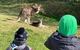 Great Ocean Road Express Private Tour - A Highlights Tour With A Local (8 Hours) - thumb 2