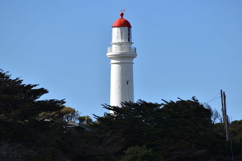 Great Ocean Road Tour Plus Koalas, Forest Walk And Morning Tea. - Accommodation Brunswick Heads 1