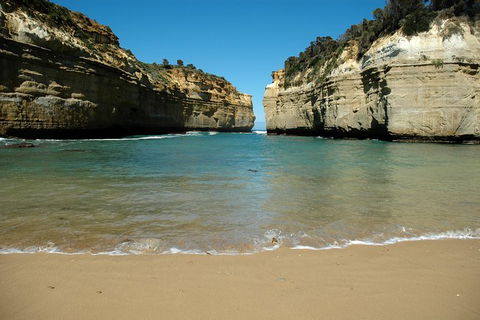 Great Ocean Road Tour Plus Koalas, Forest Walk And Morning Tea. - Accommodation Brunswick Heads 4