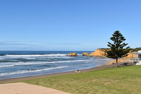 Great Ocean Road Tour Plus Koalas, Forest Walk And Morning Tea. - Accommodation Brunswick Heads 3