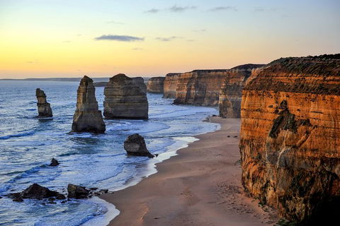 Great Ocean Road Tour Plus Koalas, Forest Walk And Morning Tea. - Accommodation Brunswick Heads 0
