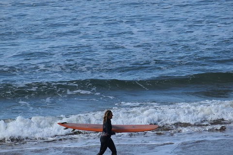 Great Ocean Road Tour Plus Koalas, Forest Walk And Morning Tea. - Accommodation Brunswick Heads 8