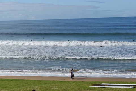 Great Ocean Road Tour Plus Koalas, Forest Walk And Morning Tea. - Accommodation Brunswick Heads 9