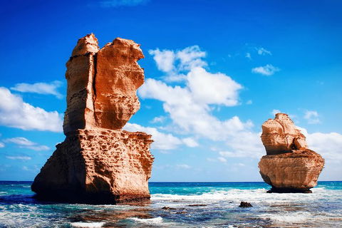 Great Ocean Road Tour Plus Koalas, Forest Walk And Morning Tea. - Accommodation Brunswick Heads 11