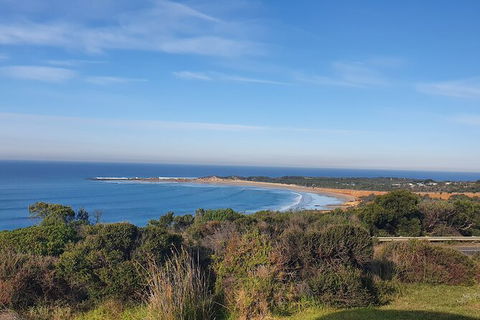 Private Great Ocean Road And Chocolaterie Tour With Tasting - Accommodation Brunswick Heads 5