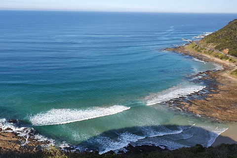 Private Great Ocean Road And Chocolaterie Tour With Tasting - Accommodation Brunswick Heads 7