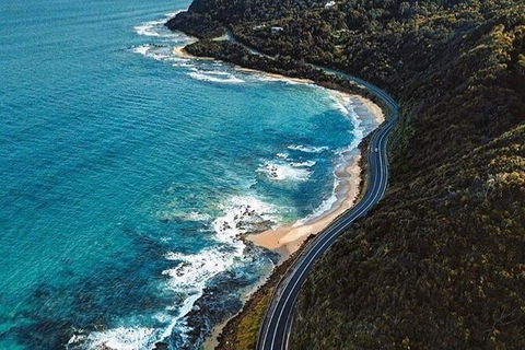 Private Great Ocean Road And Chocolaterie Tour With Tasting - Accommodation Brunswick Heads 6