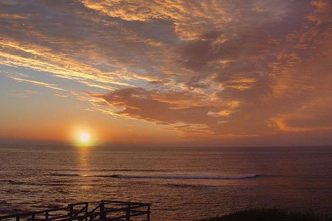 Half Day Wine & Food Tour - Accommodation Brunswick Heads 1