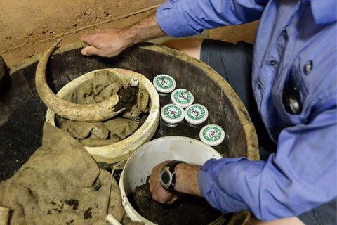 Half Day Wine & Food Tour - Accommodation Brunswick Heads 5