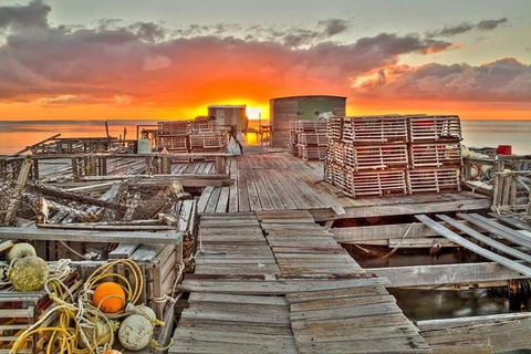 Abrolhos Islands 3 Day Fishing Charter - Accommodation Brunswick Heads 5