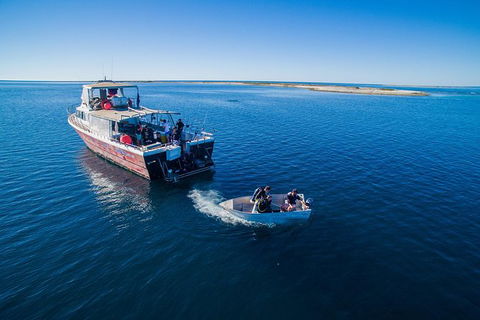 Abrolhos Islands 4 Day Fishing Charter - Accommodation Brunswick Heads 0