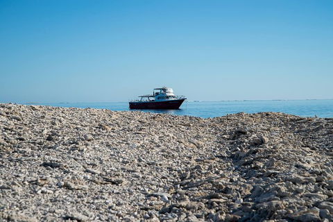 Abrolhos Islands 4 Day Fishing Charter - Accommodation Brunswick Heads 1
