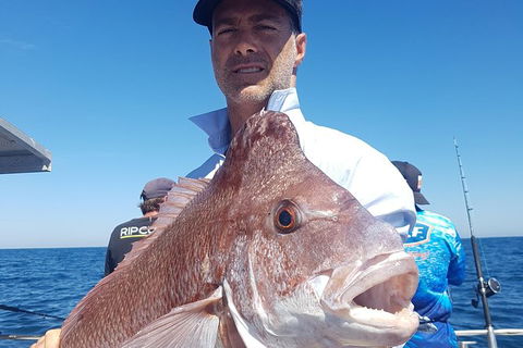 Abrolhos Islands 4 Day Fishing Charter - Accommodation Brunswick Heads 8