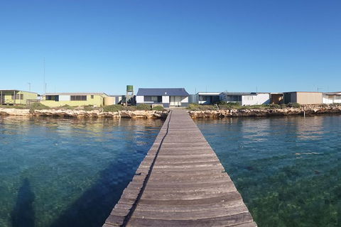 Abrolhos Islands 4 Day Fishing Charter - Accommodation Brunswick Heads 3