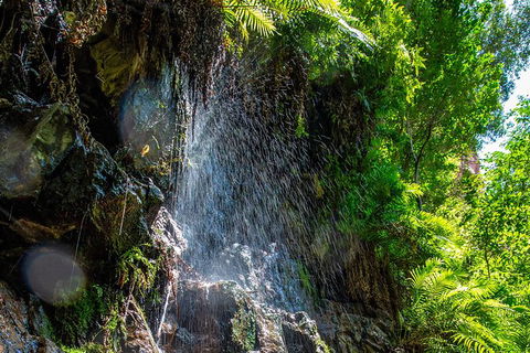 Secret Locations Tour - Accommodation Brunswick Heads 6