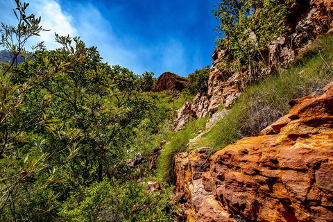 Secret Locations Tour - Accommodation Brunswick Heads 9