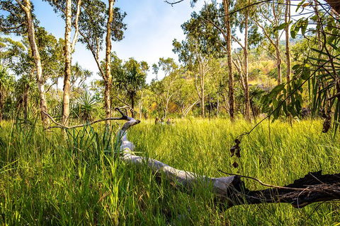 Secret Locations Tour - Accommodation Brunswick Heads 4