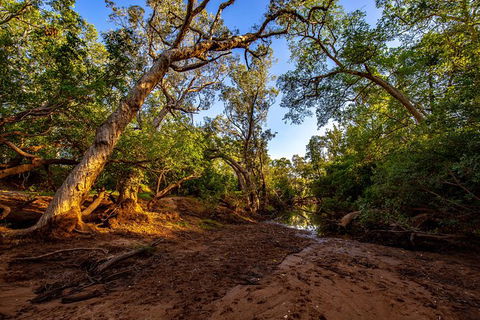 Secret Locations Tour - Accommodation Brunswick Heads 7