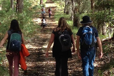 Guided Walks On The Cape To Cape - Skippy Rock - Accommodation Brunswick Heads 1