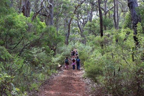 Guided Walks On The Cape To Cape - Skippy Rock - Accommodation Brunswick Heads 0