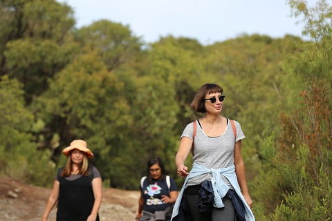 Guided Walks On The Cape To Cape - Skippy Rock - Accommodation Brunswick Heads 4