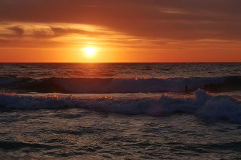 Australian Animals, Seascape And Sunset Photography Tour - Accommodation Brunswick Heads 0