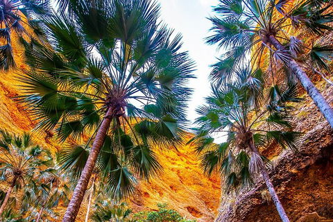 Bungles Day Trek Extended (with Echidna Chasm) - Accommodation Brunswick Heads 1