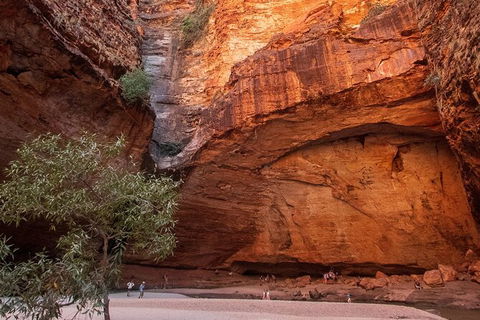 Bungles Day Trek Extended (with Echidna Chasm) - Accommodation Brunswick Heads 0