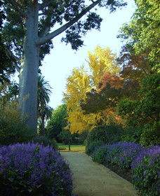 Albury Botanic Garden - Accommodation Brunswick Heads 0