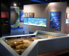 Marine And Freshwater Discovery Centre - Accommodation Brunswick Heads 0